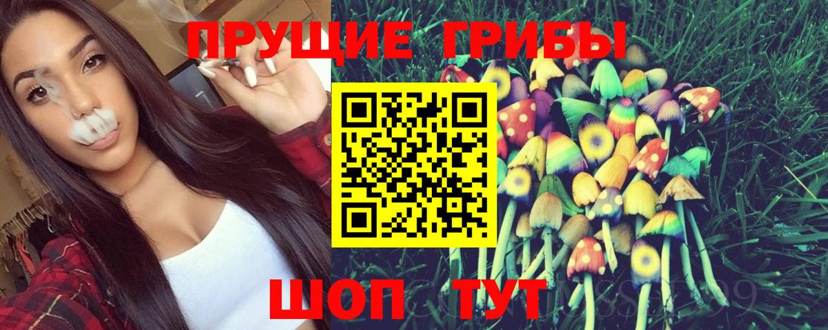 Псилоцибиновые грибы MAGIC MUSHROOMS  Вход с VPN  Галлюциногенные грибы Psilocybine cubensis  Ревда 